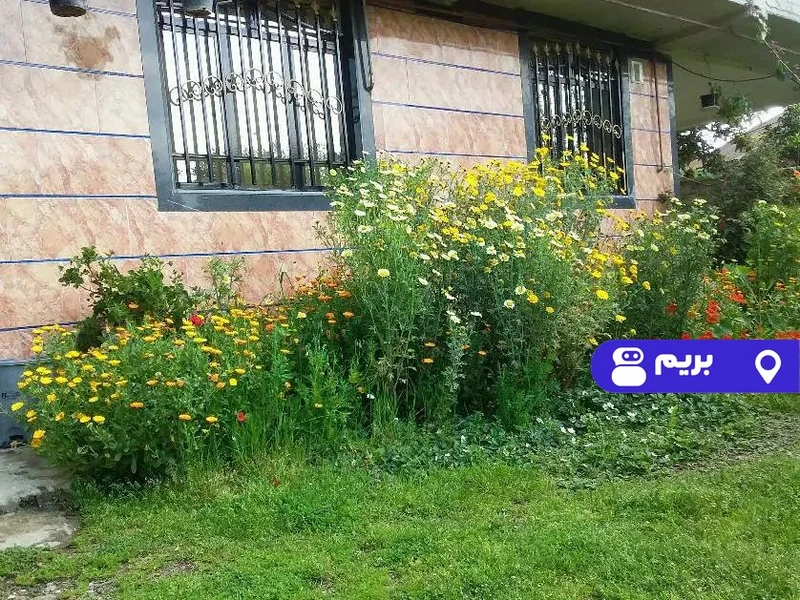 ویلا نیما